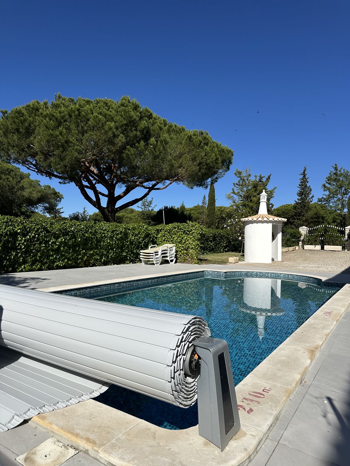 Pool Renovation